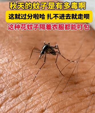 1只蚊子感染了登革热，能传给多少人？