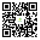 扫码打开手机端