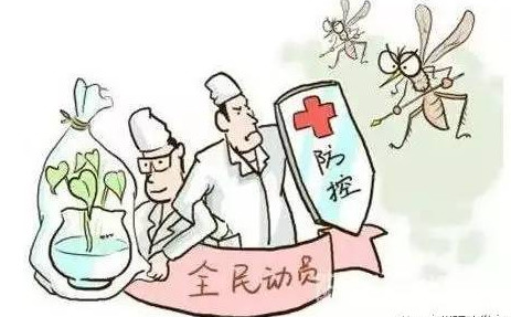 什么是登革热?如何区分登革热?