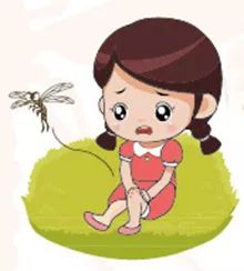 国庆出游,这些蚊媒传染防治知识你需要知道!