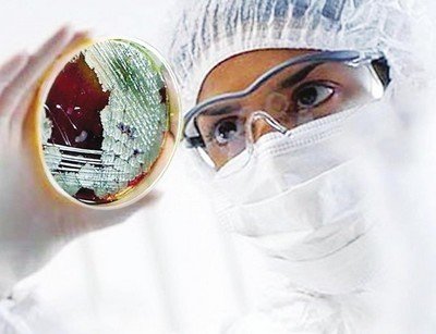 死亡6例!海南公布11月份传染病疫情,这5种病发病率最高