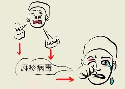 世卫组织:今年全球麻疹病例超过44万