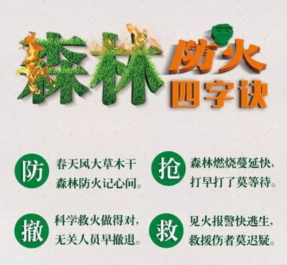 森林防火这些事需要我们牢记在心！