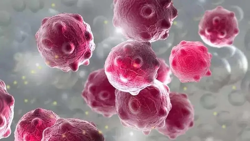 西北民族大学265人腹泻呕吐,诺如病毒这种传染病在学校容易发生