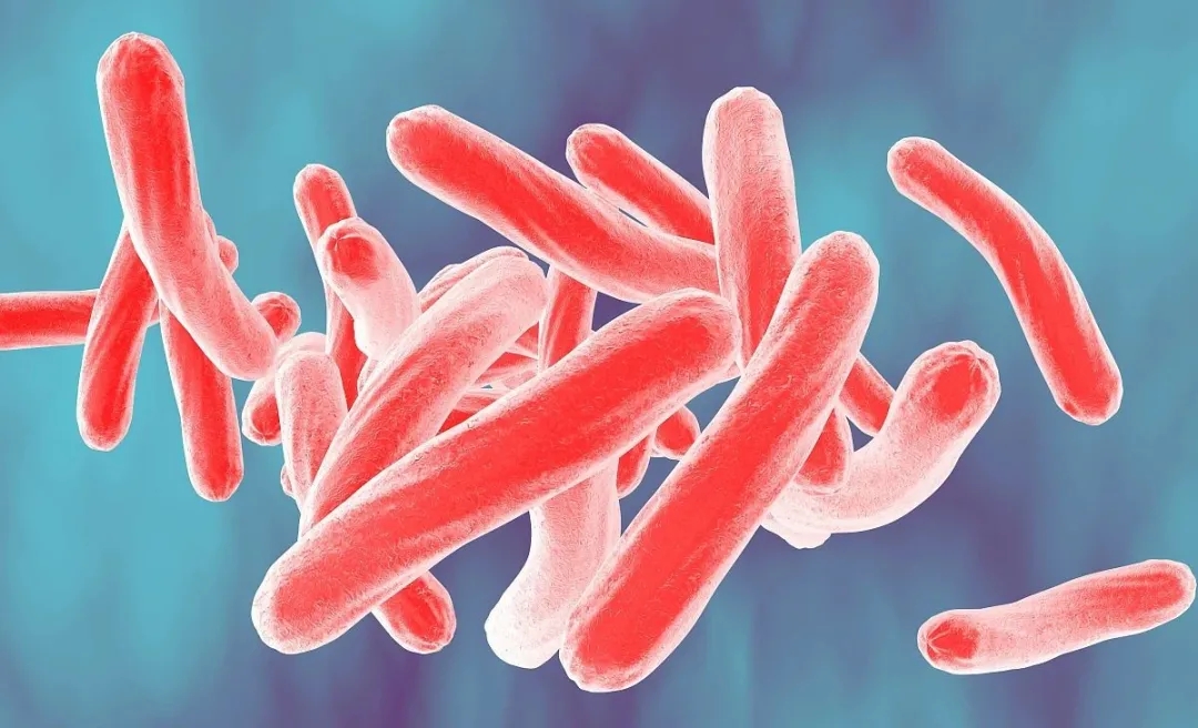 江苏一高校肺结核暴发,赶紧来认识这种病