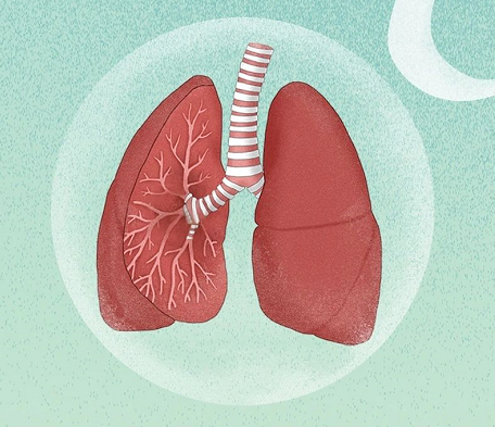 结核病防治日|终结结核流行,自由健康呼吸