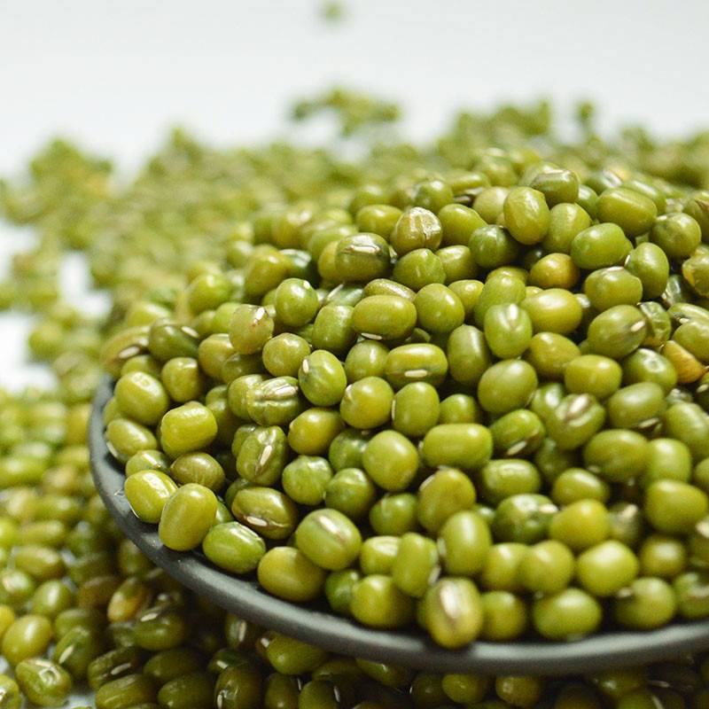 绿豆汤“解暑”靠谱 “解毒”不足