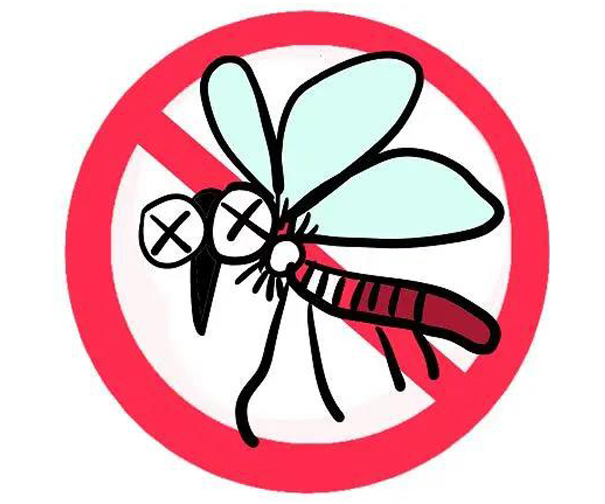 4种常见蚊子,可以传播7种疾病