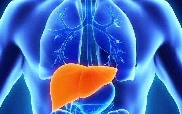 当心!这些不良习惯会损伤肝脏健康