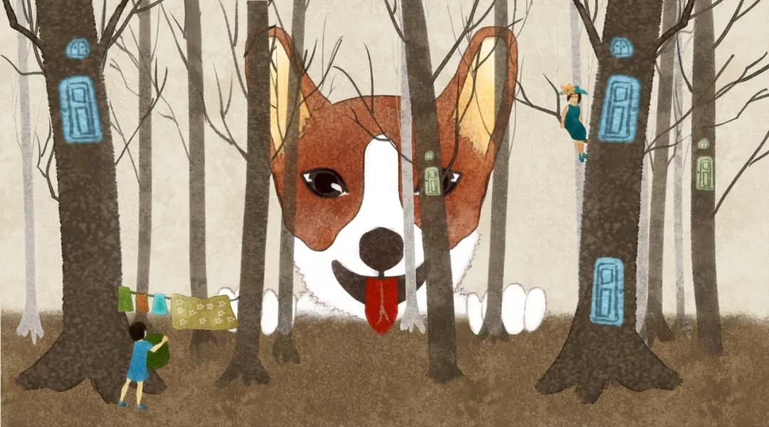 蜥蜴、刺猬、水獭等网红宠物,会传染狂犬病吗?