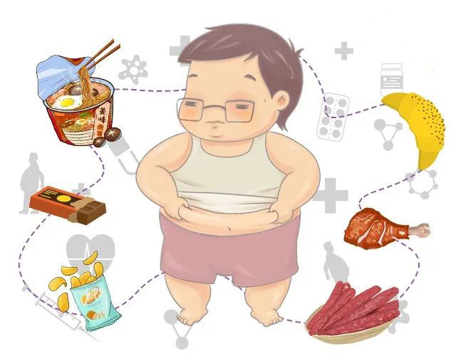 小肚腩,大问题!看完这篇再决定要不要囤膘过冬