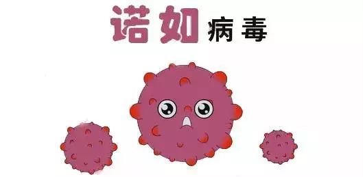 诺如病毒感染进入高发季,该如何做好防护?