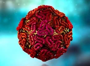 47b2a48468388ba1a6b2e07008789091.jpg 47b2a48468388ba1a6b2e07008789091.jpg