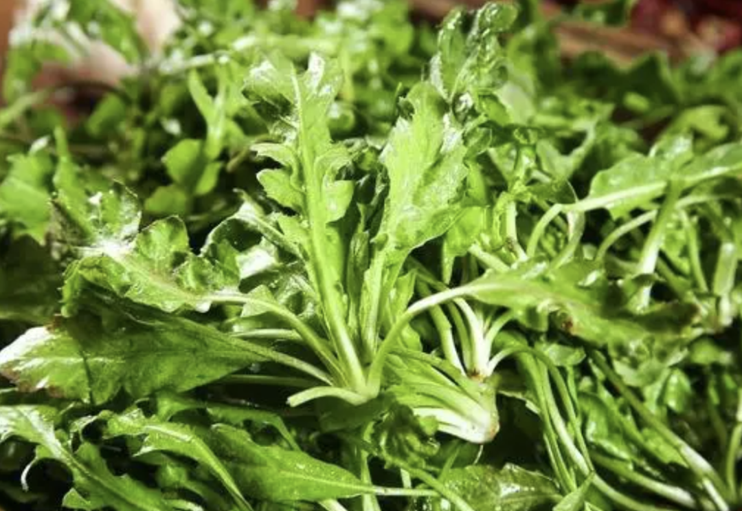 d946b276b29a778a323287620f419712.png d946b276b29a778a323287620f419712.png