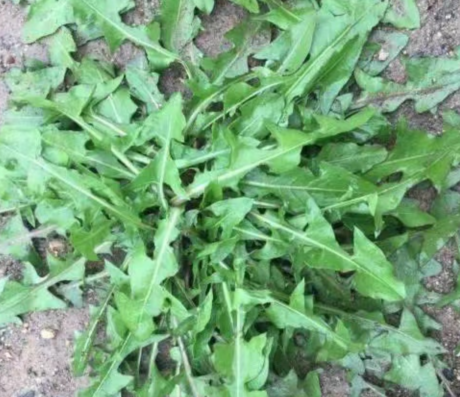 b39f8bedc3593f3ed084770669b3a0da.png b39f8bedc3593f3ed084770669b3a0da.png