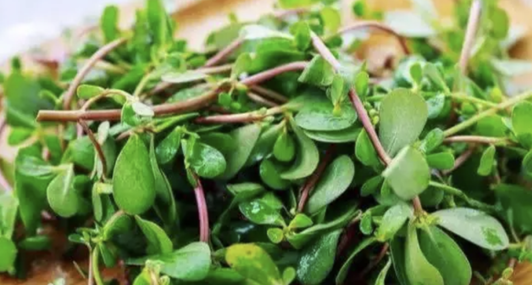 b0acef4b08bd02262d637d838ddb8951.png b0acef4b08bd02262d637d838ddb8951.png