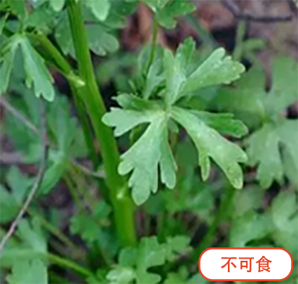 a261c9114c739f74bbcfd402c410ec2b.png a261c9114c739f74bbcfd402c410ec2b.png