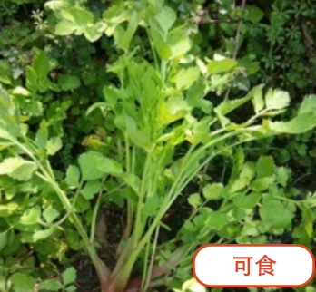 b3c3c45d9c7a5dfc0123aa993cf6ba46.png b3c3c45d9c7a5dfc0123aa993cf6ba46.png