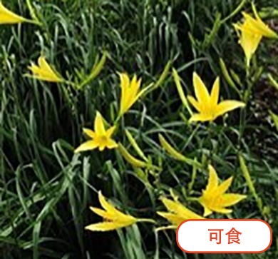 8e35219ff29c91860c4a956828a2494c.png 8e35219ff29c91860c4a956828a2494c.png