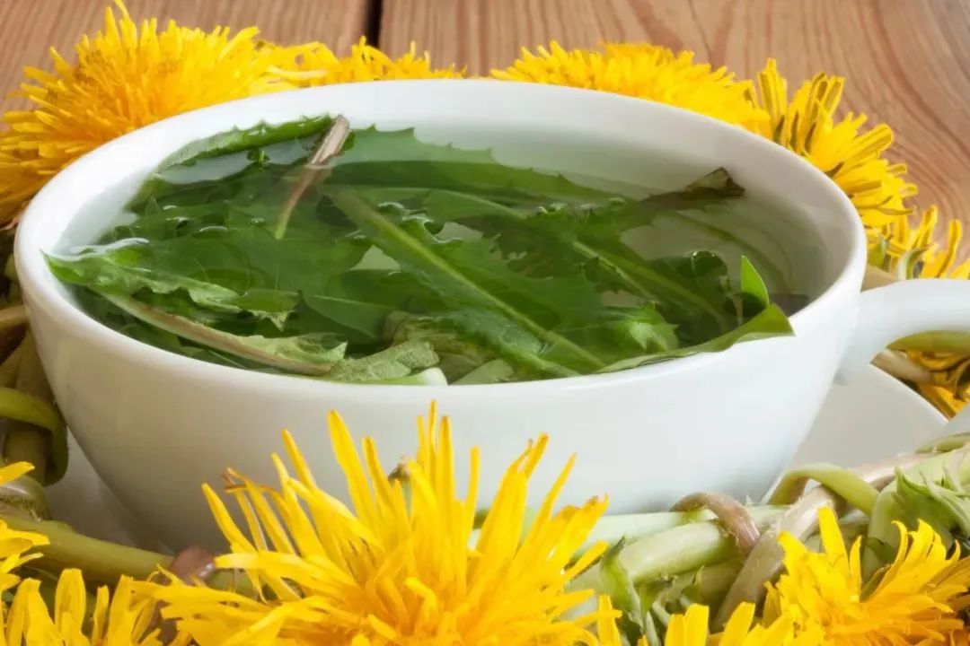 春风十里野菜香，不知不识莫乱吃