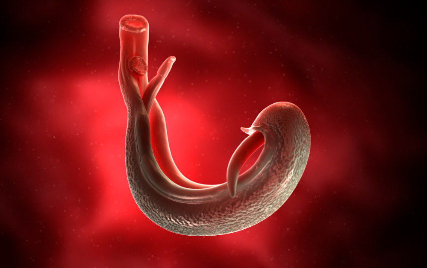 接触10秒即可感染,中疾控连发提醒!