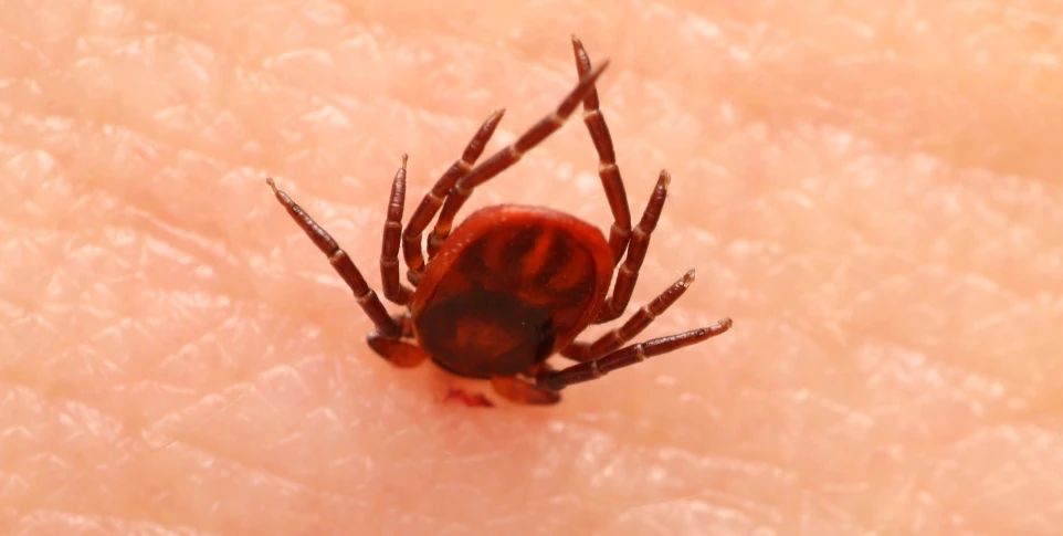 6eb78f7ceae0dca5077b9e9912233ad7.jpg 6eb78f7ceae0dca5077b9e9912233ad7.jpg