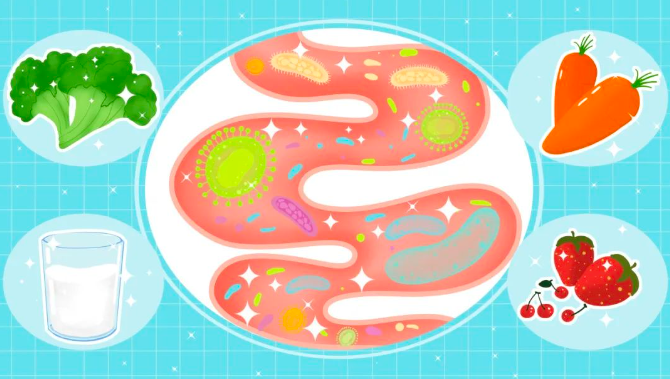 你的肠道还好吗?| 世界肠道健康日