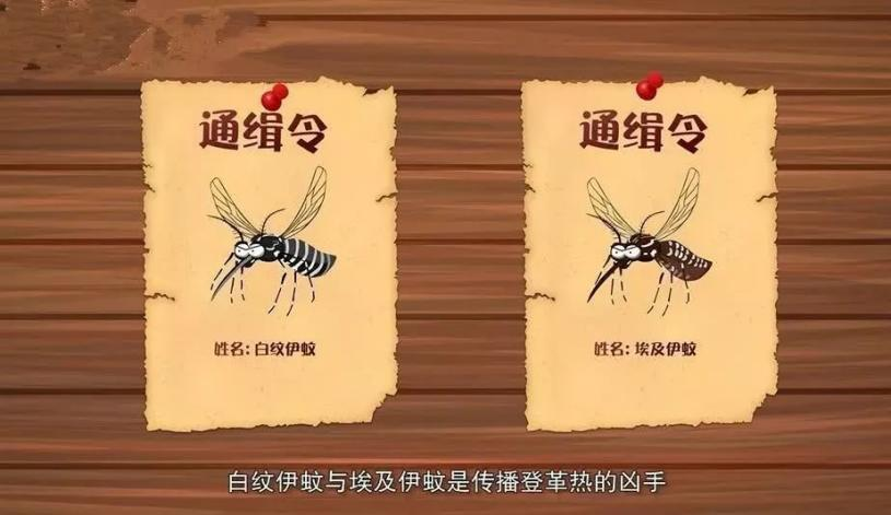 多国登革热疫情严重,已进入流行季!海南疾控提醒