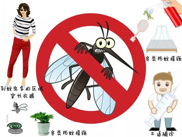 居家需防蚊,远离登革热