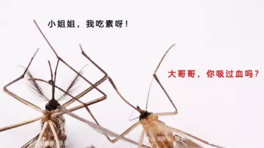 被蚊子咬了管住你的手(不是怕你抓破自己)