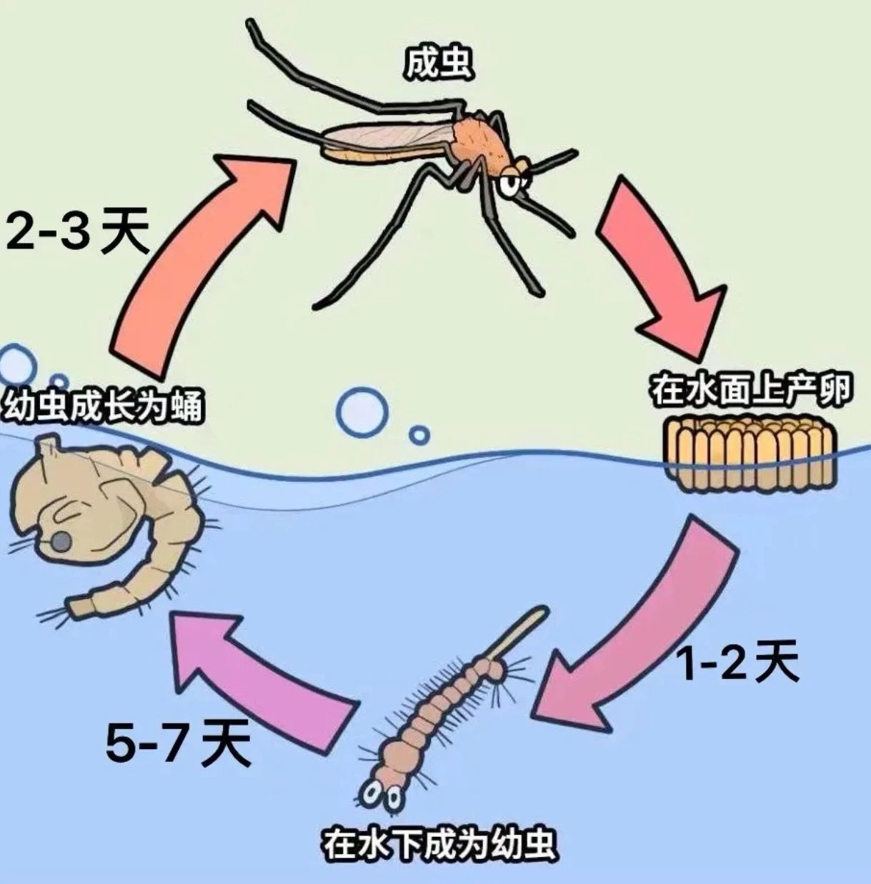 852f82b4b55f149803e6a3483b7b26da.jpg 852f82b4b55f149803e6a3483b7b26da.jpg