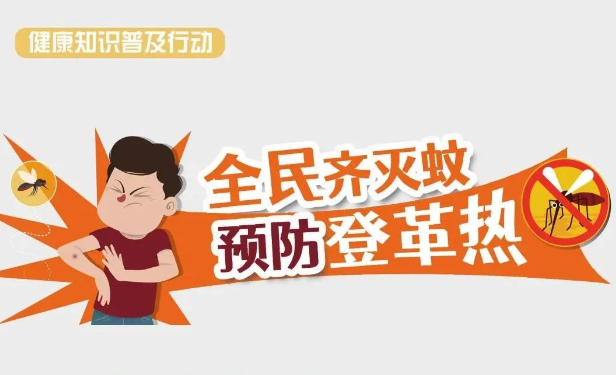 小心！立秋后蚊子依旧活跃，登革热症状与预防早知道