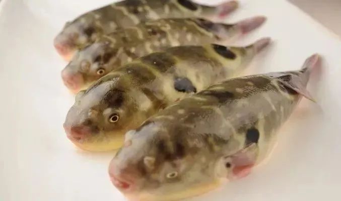 不要吃!不要吃!不要吃!海南最新提示→