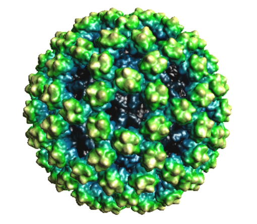 您了解诺如病毒吗？近期高发季得警惕！