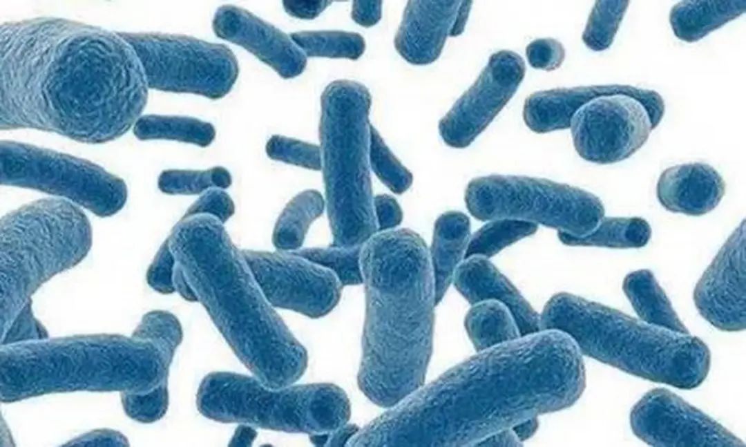 警惕!“炒饭综合征”席卷而来