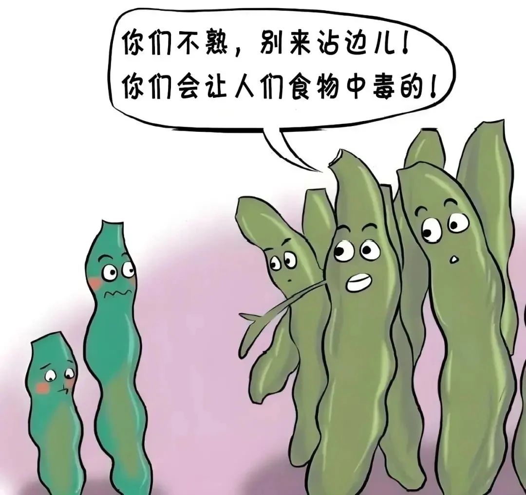 46553ba60e242ad6a9395100676f6fec.jpg 46553ba60e242ad6a9395100676f6fec.jpg