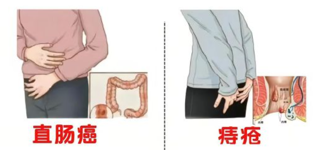 94f01f0545cdce51d68027818820c100.png 94f01f0545cdce51d68027818820c100.png