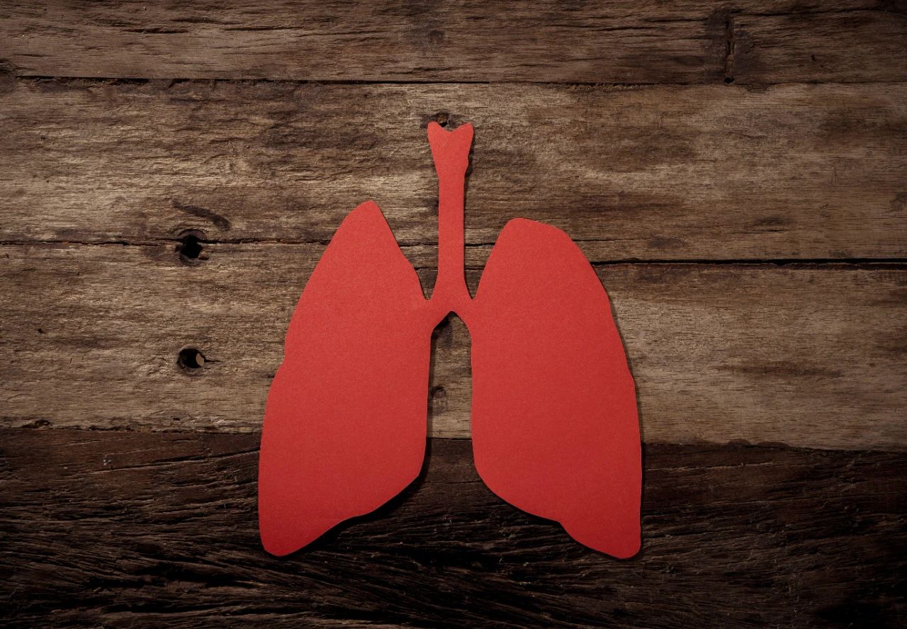 fb6ef7eb307fb9d96da89b73780822ed.jpg fb6ef7eb307fb9d96da89b73780822ed.jpg