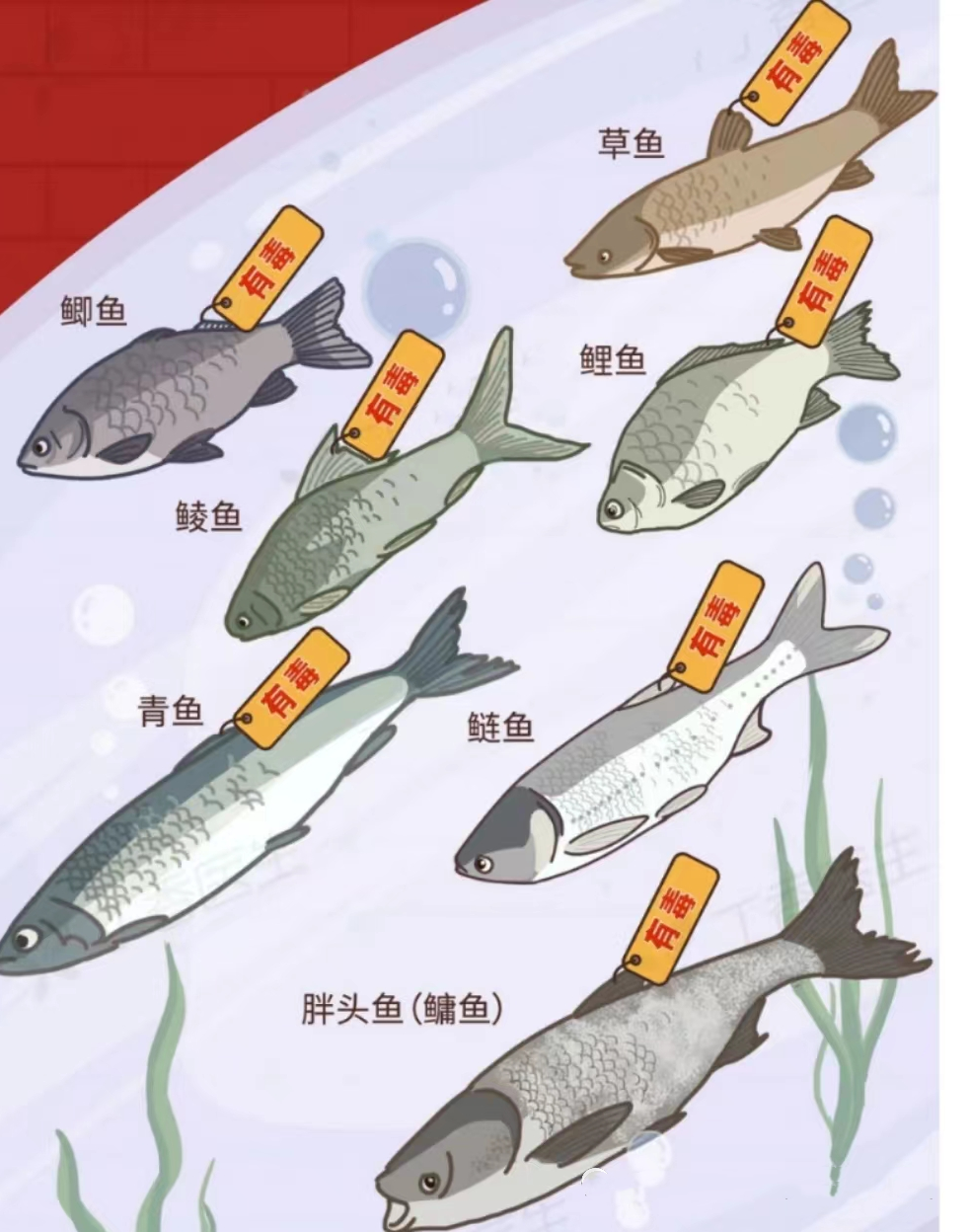 021f6d84573dfeef5379110344aebd5f.png 021f6d84573dfeef5379110344aebd5f.png