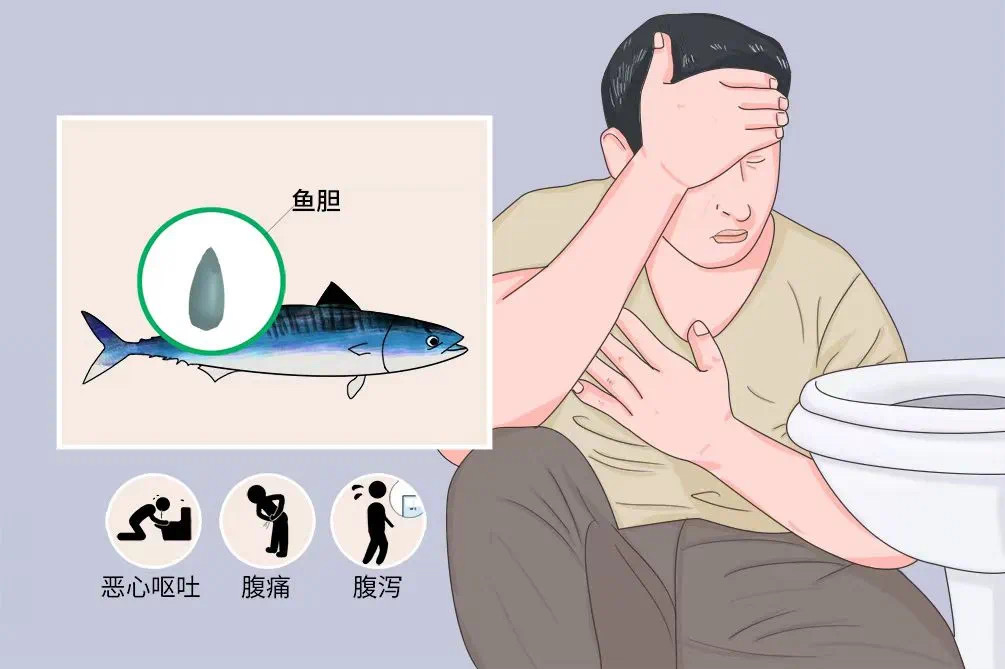 395570aaf3b9f5d32b7d6265c23f2c44.png 395570aaf3b9f5d32b7d6265c23f2c44.png