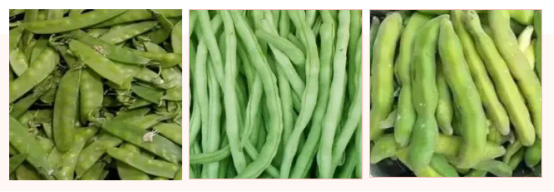 2a8bd06a026890fb86abc02bf7533627.png 2a8bd06a026890fb86abc02bf7533627.png