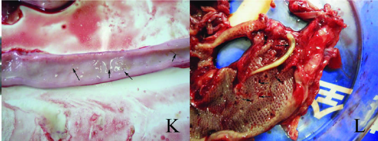 7e6abc8c02090829a0bd59c1082fb0eb.png 7e6abc8c02090829a0bd59c1082fb0eb.png