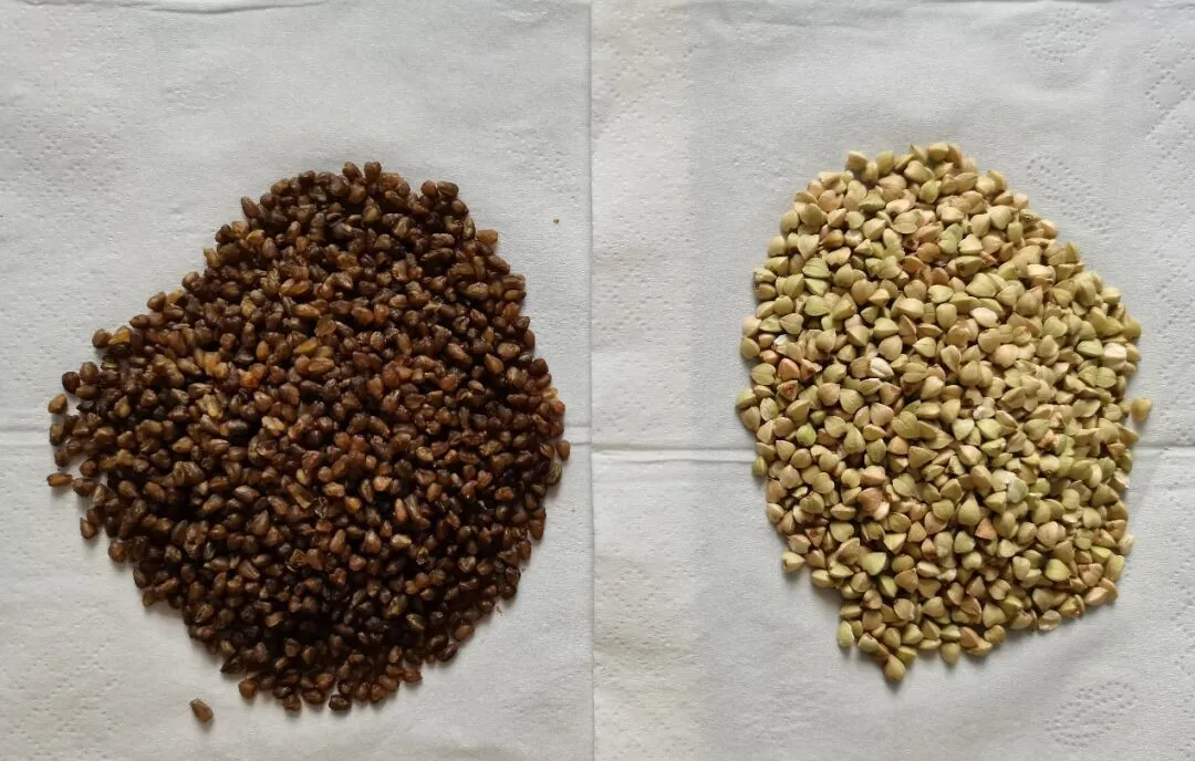 b796dee02f7fca587ed79f5f563a270b.jpg b796dee02f7fca587ed79f5f563a270b.jpg