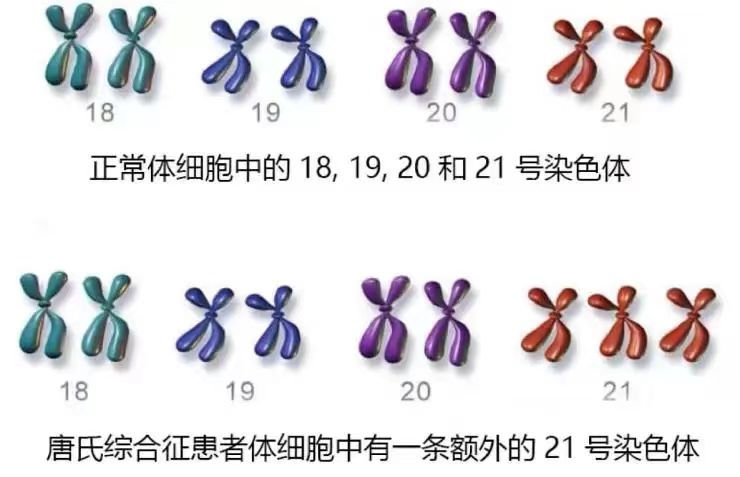 7d483b04f1a83a510e89d6a888411e40.png 7d483b04f1a83a510e89d6a888411e40.png