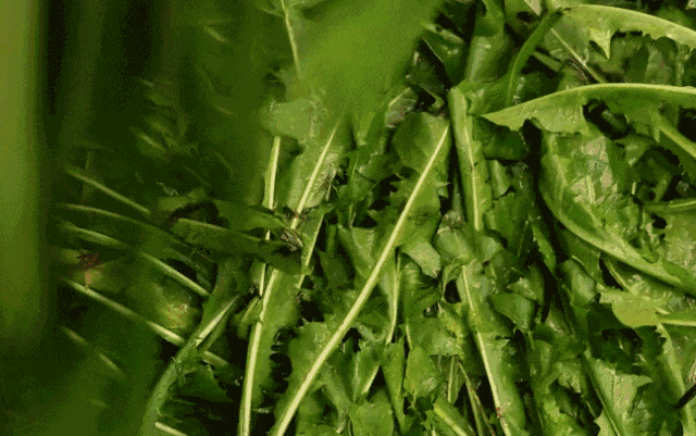 606ba9a92b24c208e91c8ed2c30ca77d.jpg 606ba9a92b24c208e91c8ed2c30ca77d.jpg