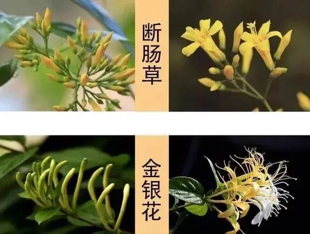 7506356fd46080460ac969e616178053.jpg 7506356fd46080460ac969e616178053.jpg