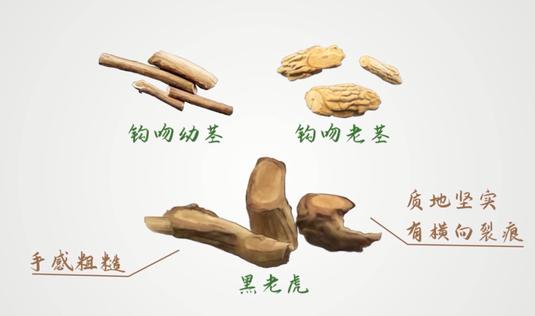 91dc2793caea382ef65647e2d6959c1b.jpg 91dc2793caea382ef65647e2d6959c1b.jpg