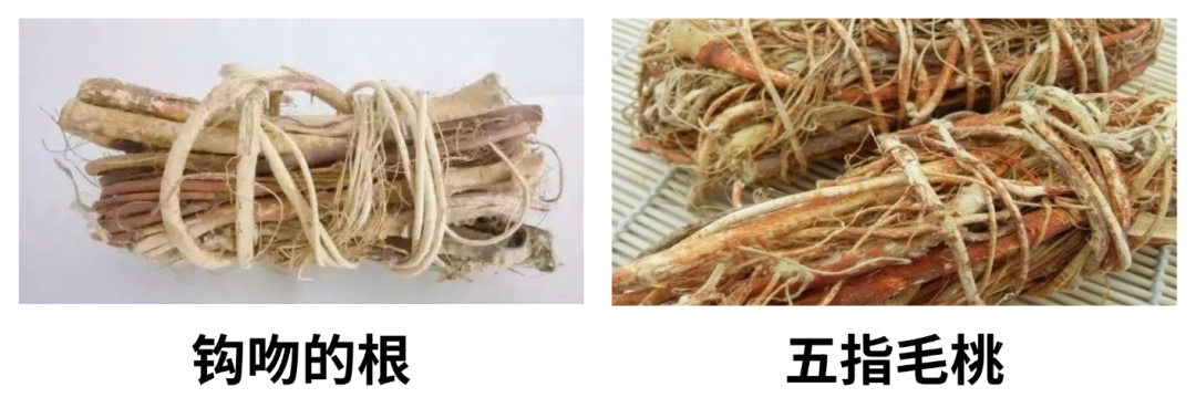 b8d9afb34b273e8108813e67e54d530f.png b8d9afb34b273e8108813e67e54d530f.png