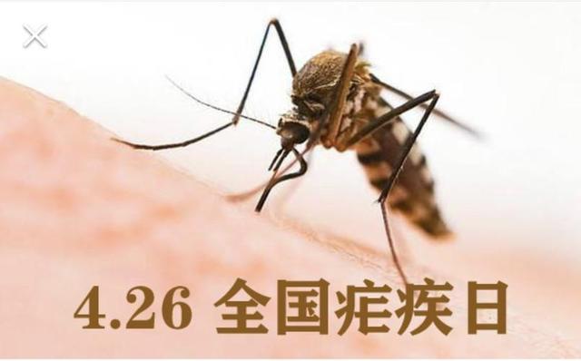 国家疾控局综合司关于开展2025年全国疟疾日宣传活动的通知