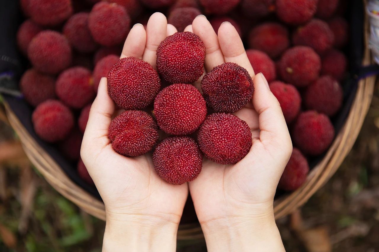 25f77b6fb454c873c03f2413e042cd21.jpg 25f77b6fb454c873c03f2413e042cd21.jpg